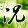 罗生门